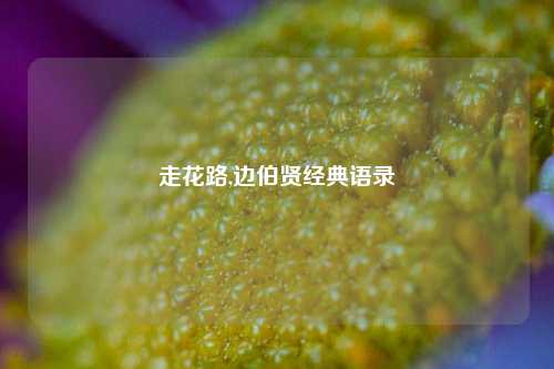 走花路,边伯贤经典语录