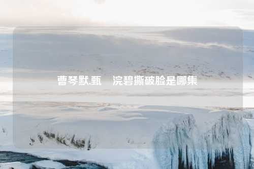 曹琴默,甄嬛浣碧撕破脸是哪集