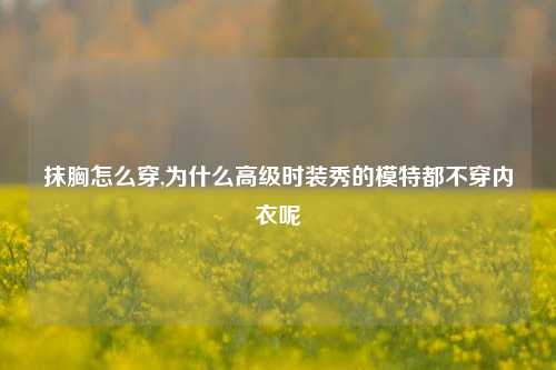 抹胸怎么穿,为什么高级时装秀的模特都不穿内衣呢