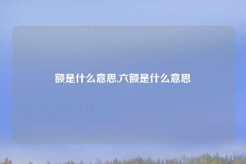 额是什么意思,六额是什么意思