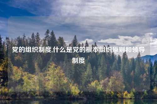 党的组织制度,什么是党的根本组织原则和领导制度