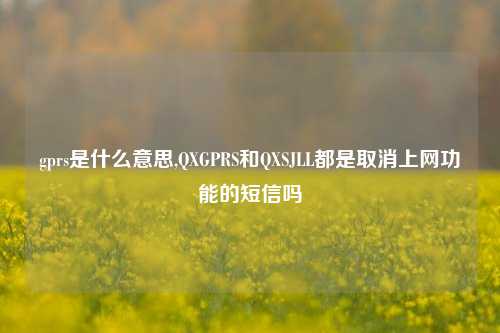 gprs是什么意思,QXGPRS和QXSJLL都是取消上网功能的短信吗