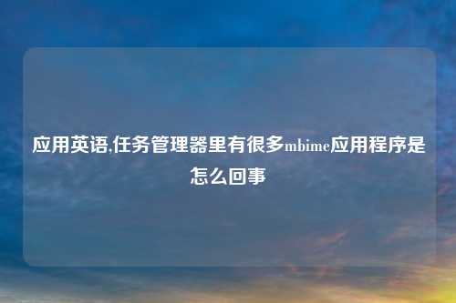 应用英语,任务管理器里有很多mbime应用程序是怎么回事