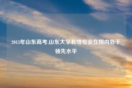2013年山东高考,山东大学有啥专业在国内处于领先水平