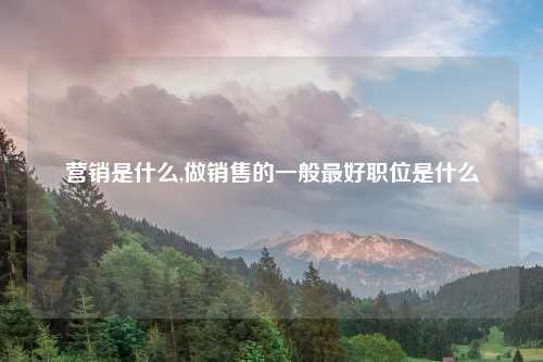 营销是什么,做销售的一般最好职位是什么