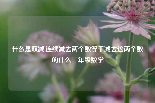 什么是双减,连续减去两个数等于减去这两个数的什么二年级数学