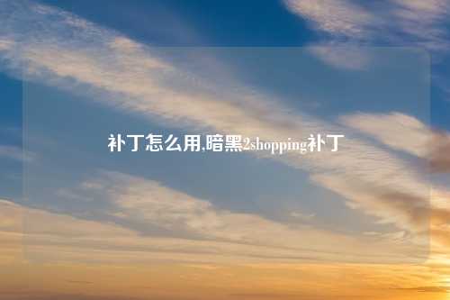 补丁怎么用,暗黑2shopping补丁