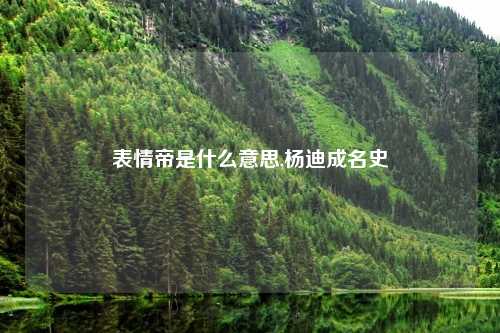 表情帝是什么意思,杨迪成名史