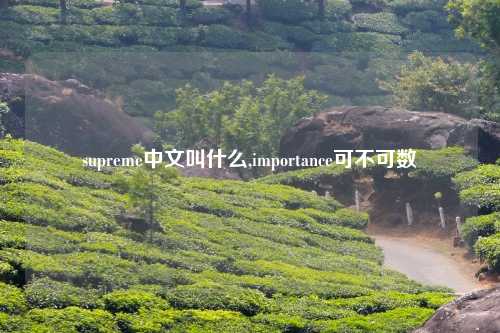 supreme中文叫什么,importance可不可数