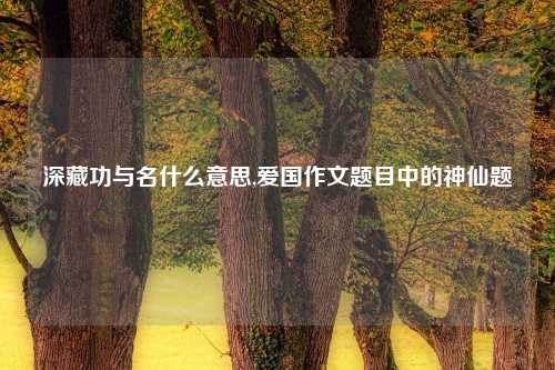 深藏功与名什么意思,爱国作文题目中的神仙题