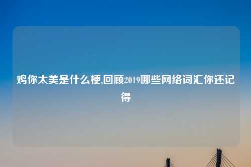 鸡你太美是什么梗,回顾2019哪些网络词汇你还记得