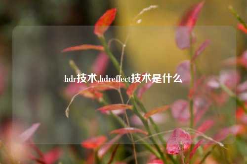 hdr技术,hdreffect技术是什么