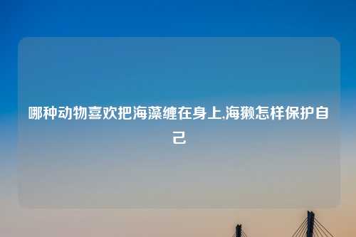 哪种动物喜欢把海藻缠在身上,海獭怎样保护自己