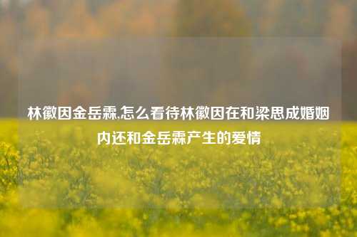 林徽因金岳霖,怎么看待林徽因在和梁思成婚姻内还和金岳霖产生的爱情