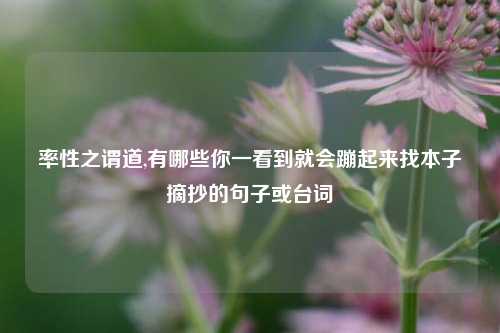 率性之谓道,有哪些你一看到就会蹦起来找本子摘抄的句子或台词