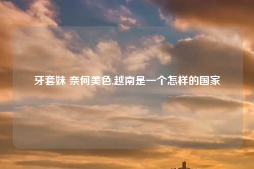 牙套妹 奈何美色,越南是一个怎样的国家