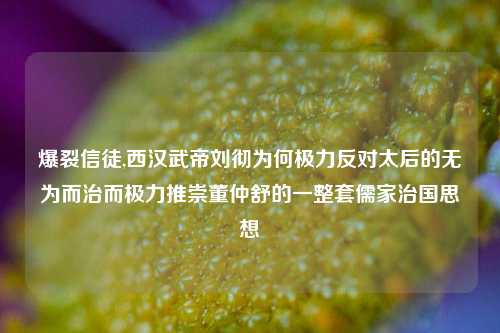 爆裂信徒,西汉武帝刘彻为何极力反对太后的无为而治而极力推崇董仲舒的一整套儒家治国思想