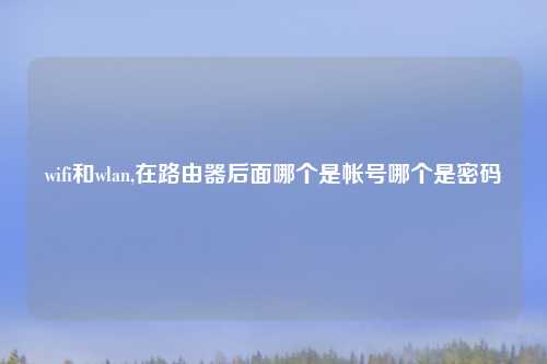 wifi和wlan,在路由器后面哪个是帐号哪个是密码
