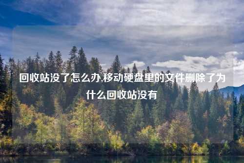 回收站没了怎么办,移动硬盘里的文件删除了为什么回收站没有