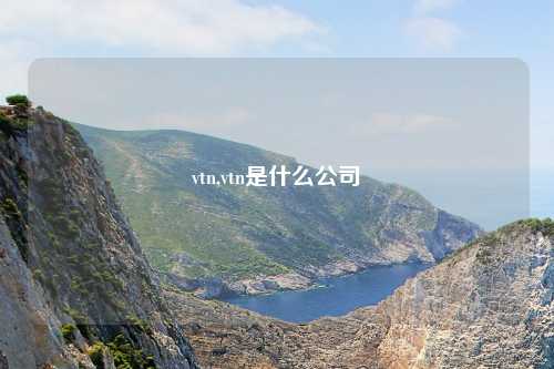 vtn,vtn是什么公司