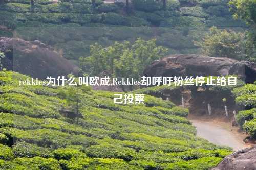 rekkles为什么叫欧成,Rekkles却呼吁粉丝停止给自己投票