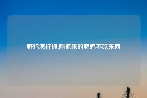 野鸡怎样抓,刚抓来的野鸡不吃东西