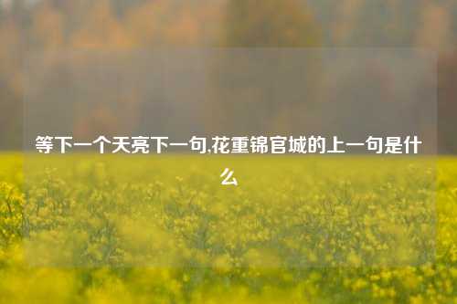 等下一个天亮下一句,花重锦官城的上一句是什么