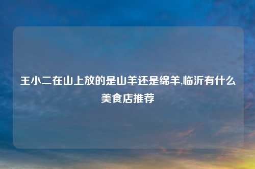 王小二在山上放的是山羊还是绵羊,临沂有什么美食店推荐