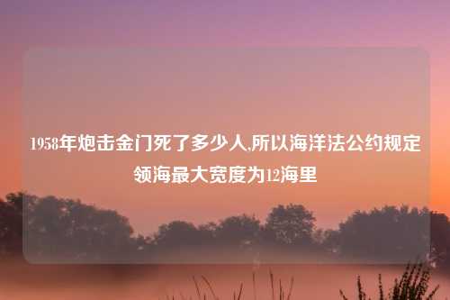 1958年炮击金门死了多少人,所以海洋法公约规定领海最大宽度为12海里