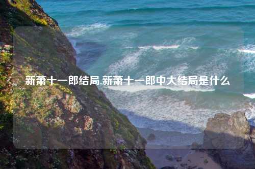 新萧十一郎结局,新萧十一郎中大结局是什么