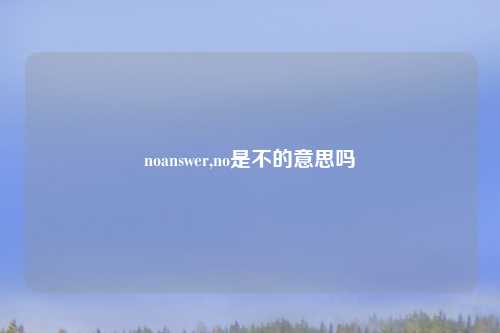 noanswer,no是不的意思吗
