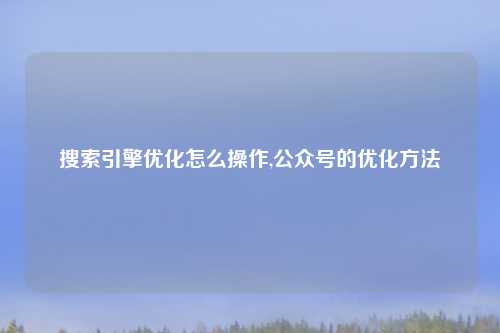 搜索引擎优化怎么操作,公众号的优化方法