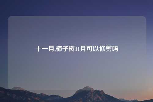 十一月,柿子树11月可以修剪吗