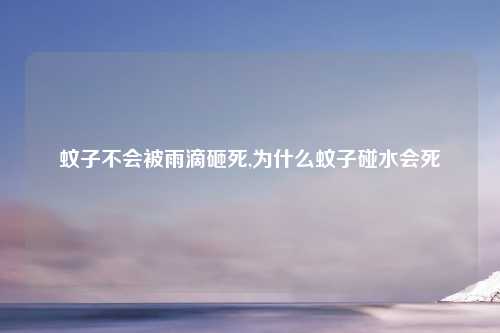 蚊子不会被雨滴砸死,为什么蚊子碰水会死