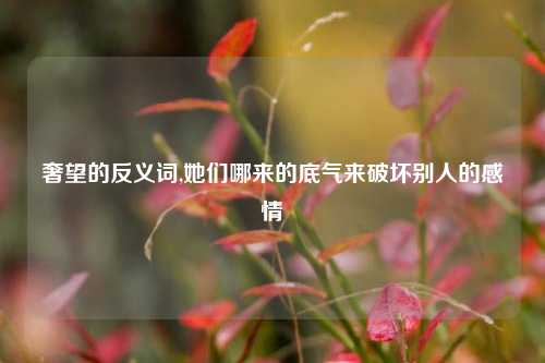 奢望的反义词,她们哪来的底气来破坏别人的感情
