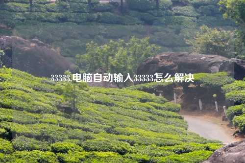 33333,电脑自动输入33333怎么解决