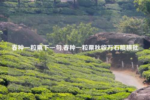 春种一粒粟下一句,春种一粒粟秋收万石粮横批