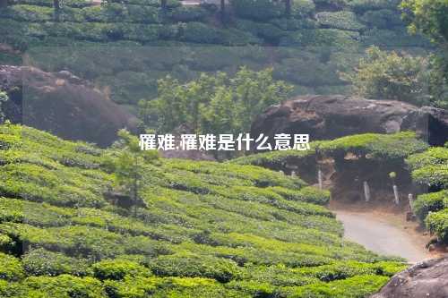 罹难,罹难是什么意思