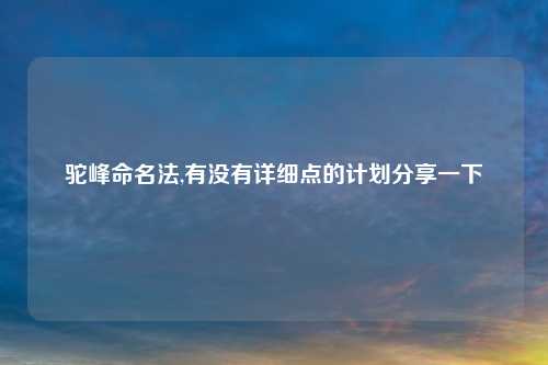 驼峰命名法,有没有详细点的计划分享一下