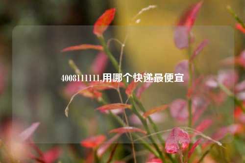 4008111111,用哪个快递最便宜