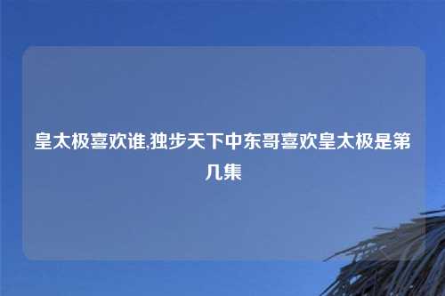 皇太极喜欢谁,独步天下中东哥喜欢皇太极是第几集