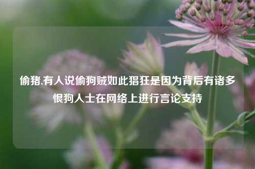 偷猪,有人说偷狗贼如此猖狂是因为背后有诸多恨狗人士在网络上进行言论支持
