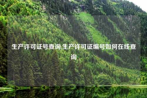 生产许可证号查询,生产许可证编号如何在线查询