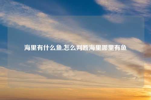 海里有什么鱼,怎么判断海里哪里有鱼