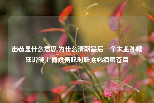 出恭是什么意思,为什么清朝最后一个太监孙耀廷说晚上伺候贵妃时鞋底必须藏苍耳
