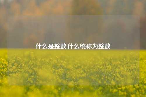 什么是整数,什么统称为整数
