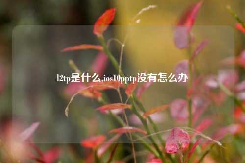 l2tp是什么,ios10pptp没有怎么办