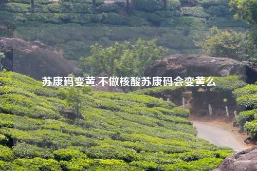 苏康码变黄,不做核酸苏康码会变黄么