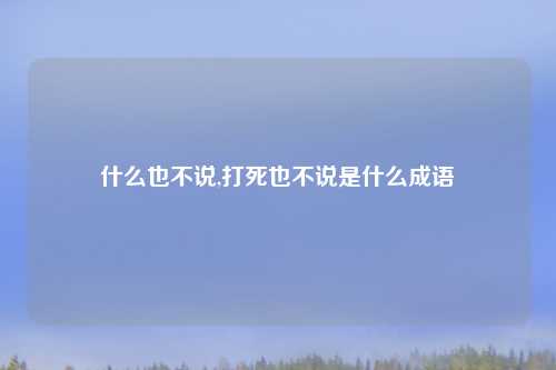 什么也不说,打死也不说是什么成语