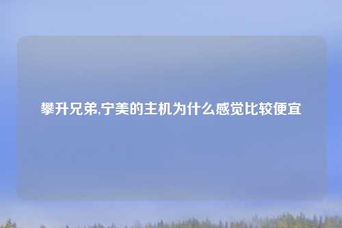 攀升兄弟,宁美的主机为什么感觉比较便宜